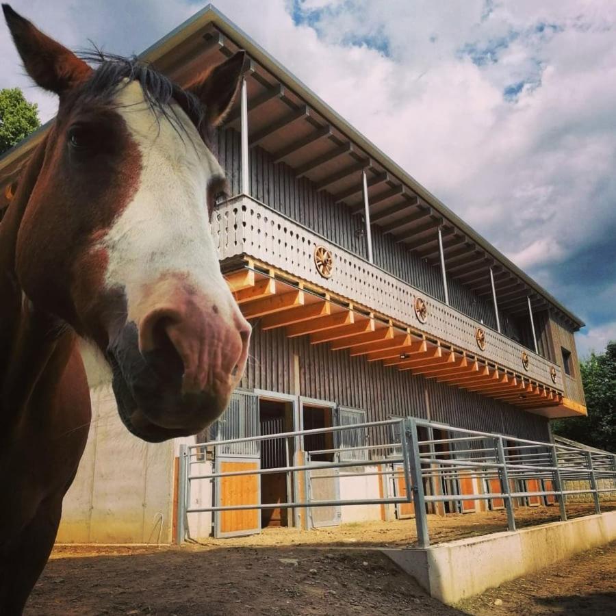 Erlebnisbauernhof Gutschi Ranch كامب المظهر الخارجي الصورة
