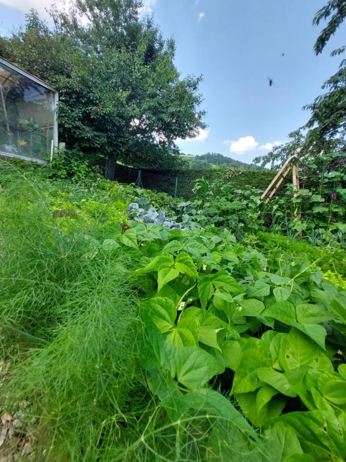Erlebnisbauernhof Gutschi Ranch كامب المظهر الخارجي الصورة