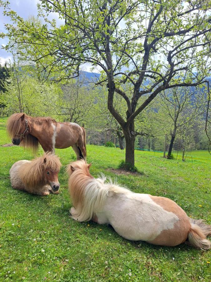 شقة Erlebnisbauernhof Gutschi Ranch كامب المظهر الخارجي الصورة