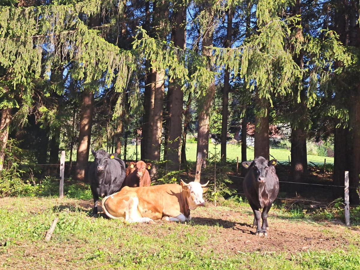 Erlebnisbauernhof Gutschi Ranch كامب المظهر الخارجي الصورة